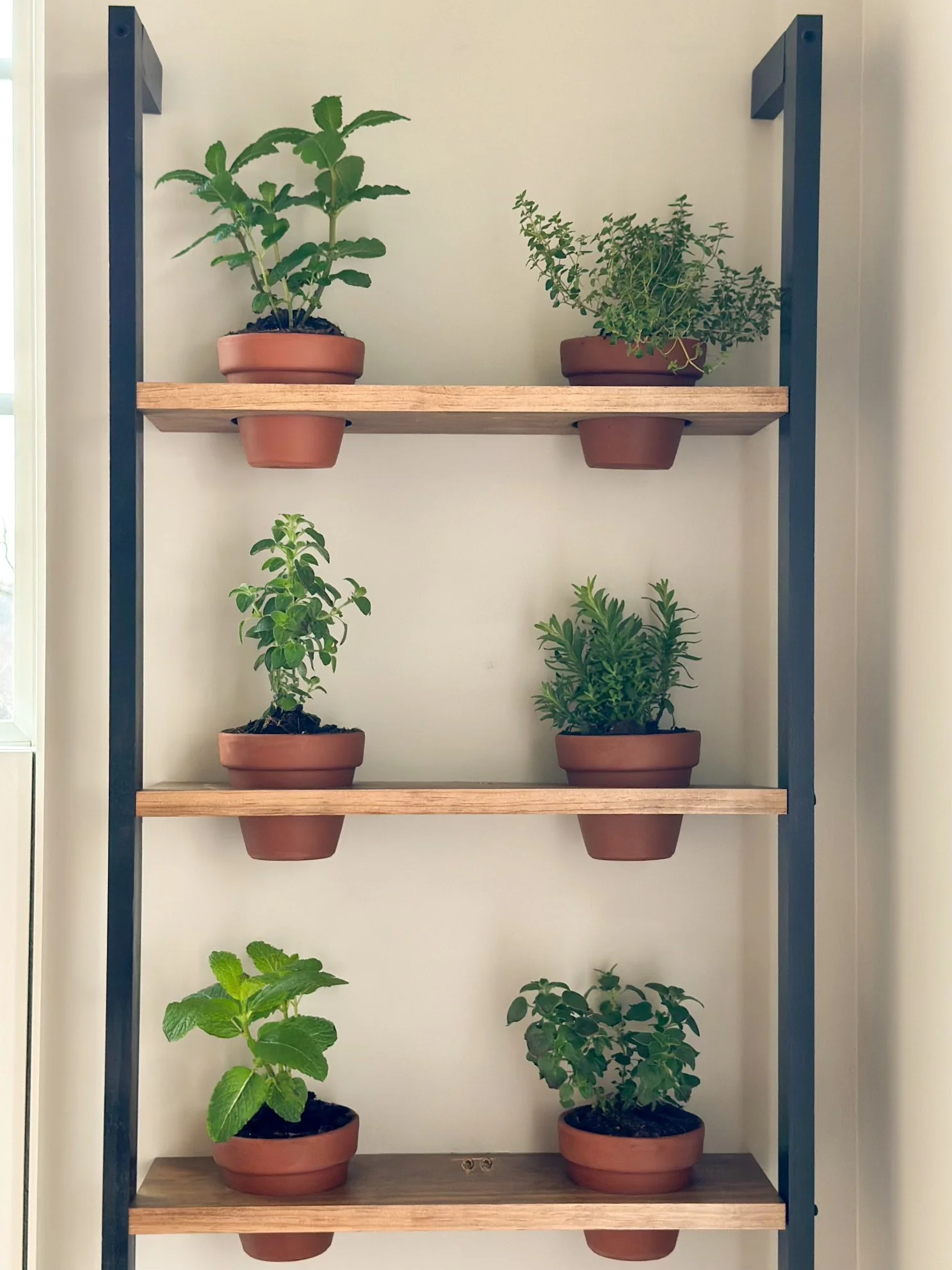 Herb shelves sale